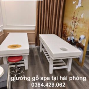 Giường gỗ spa màu Trắng