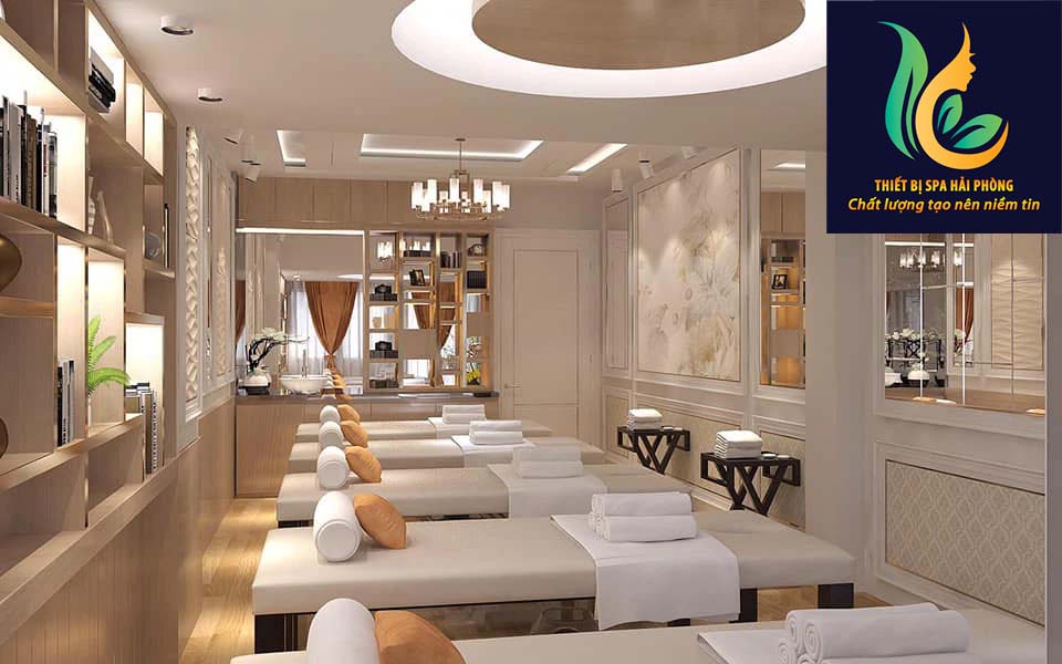 giai phap mo quan spa tai hai phong 11 - Cần mở spa tại Hải Phòng? Tìm hiểu ngay giải pháp toàn diện.